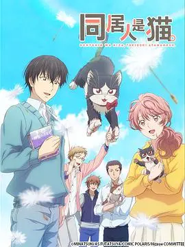 《同居人是猫》：喵星人的治愈系生活，暖心陪伴融化你的孤独！